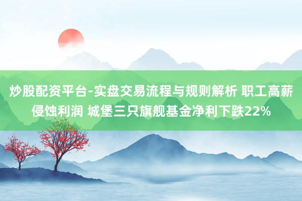 炒股配资平台-实盘交易流程与规则解析 职工高薪侵蚀利润 城堡三只旗舰基金净利下跌22%