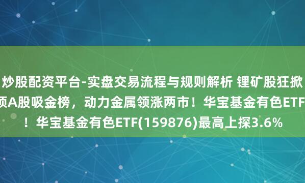 炒股配资平台-实盘交易流程与规则解析 锂矿股狂掀涨停潮！赣锋锂业登顶A股吸金榜，动力金属领涨两市！华宝基金有色ETF(159876)最高上探3.6%