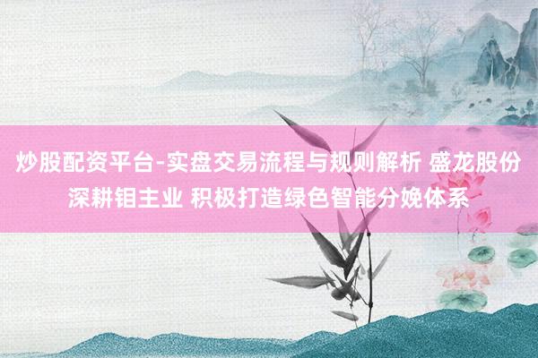 炒股配资平台-实盘交易流程与规则解析 盛龙股份深耕钼主业 积极打造绿色智能分娩体系