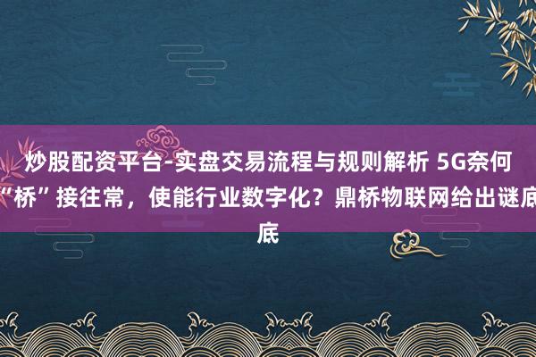 炒股配资平台-实盘交易流程与规则解析 5G奈何“桥”接往常，使能行业数字化？鼎桥物联网给出谜底