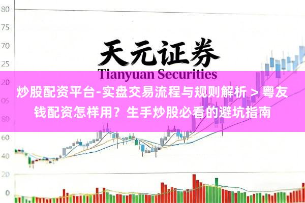 炒股配资平台-实盘交易流程与规则解析 > 粤友钱配资怎样用？生手炒股必看的避坑指南